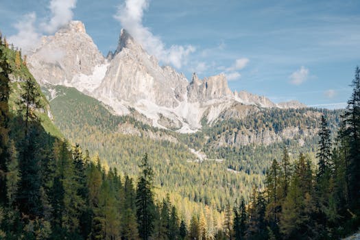 Breathtaking landscape of the Dolomites with forested valleys and peaks under blue skies.