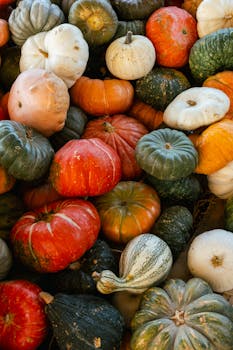 A vibrant array of pumpkins and gourds showcasing autumnal hues and textures.