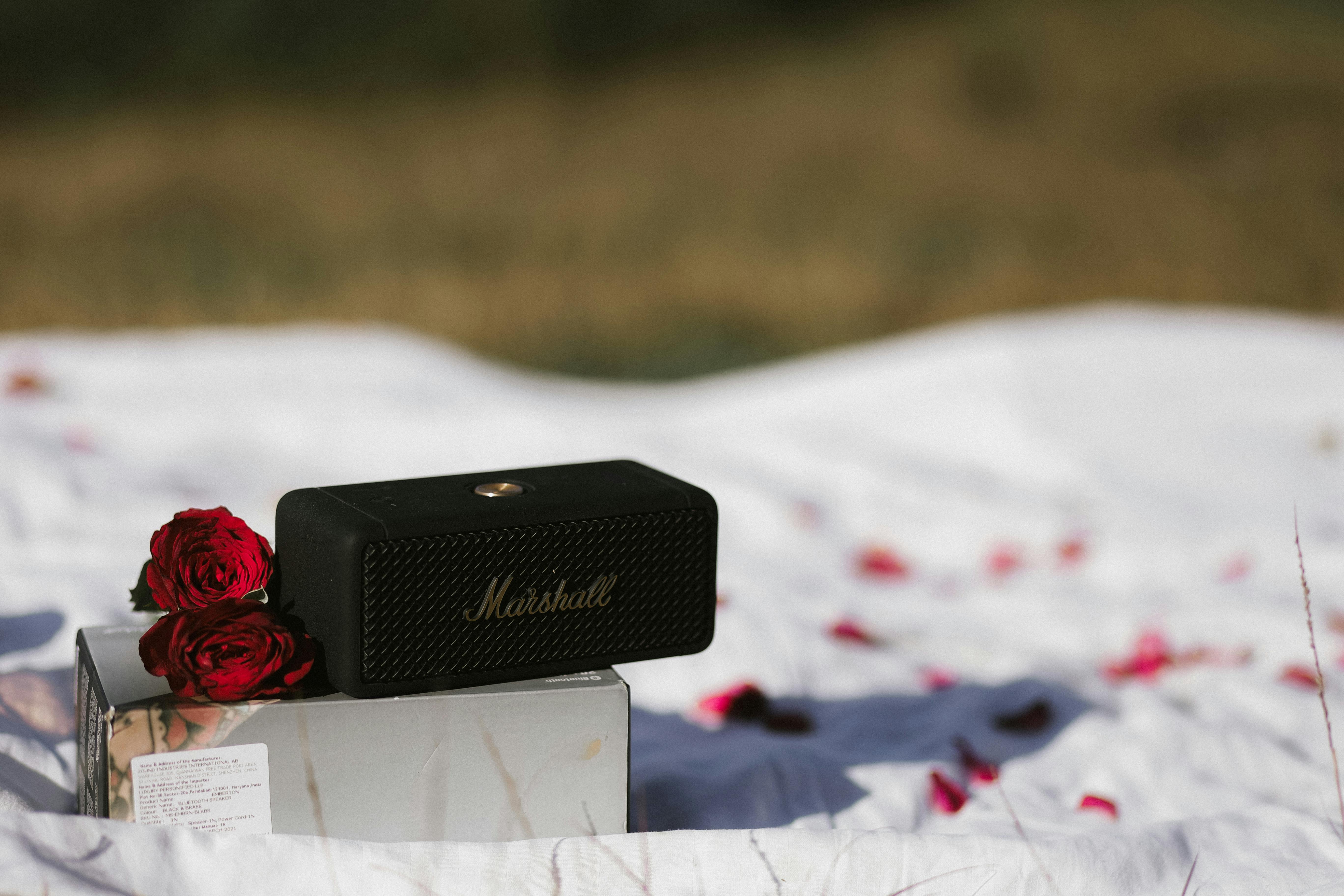 多頭行情續航 美科技股第四季展現強勁表現