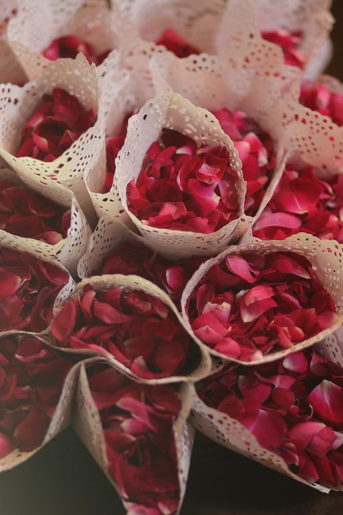 Cone Shape Red Roses Vibrant Red Rose Petals in Lace Cones · Free Stock Photo