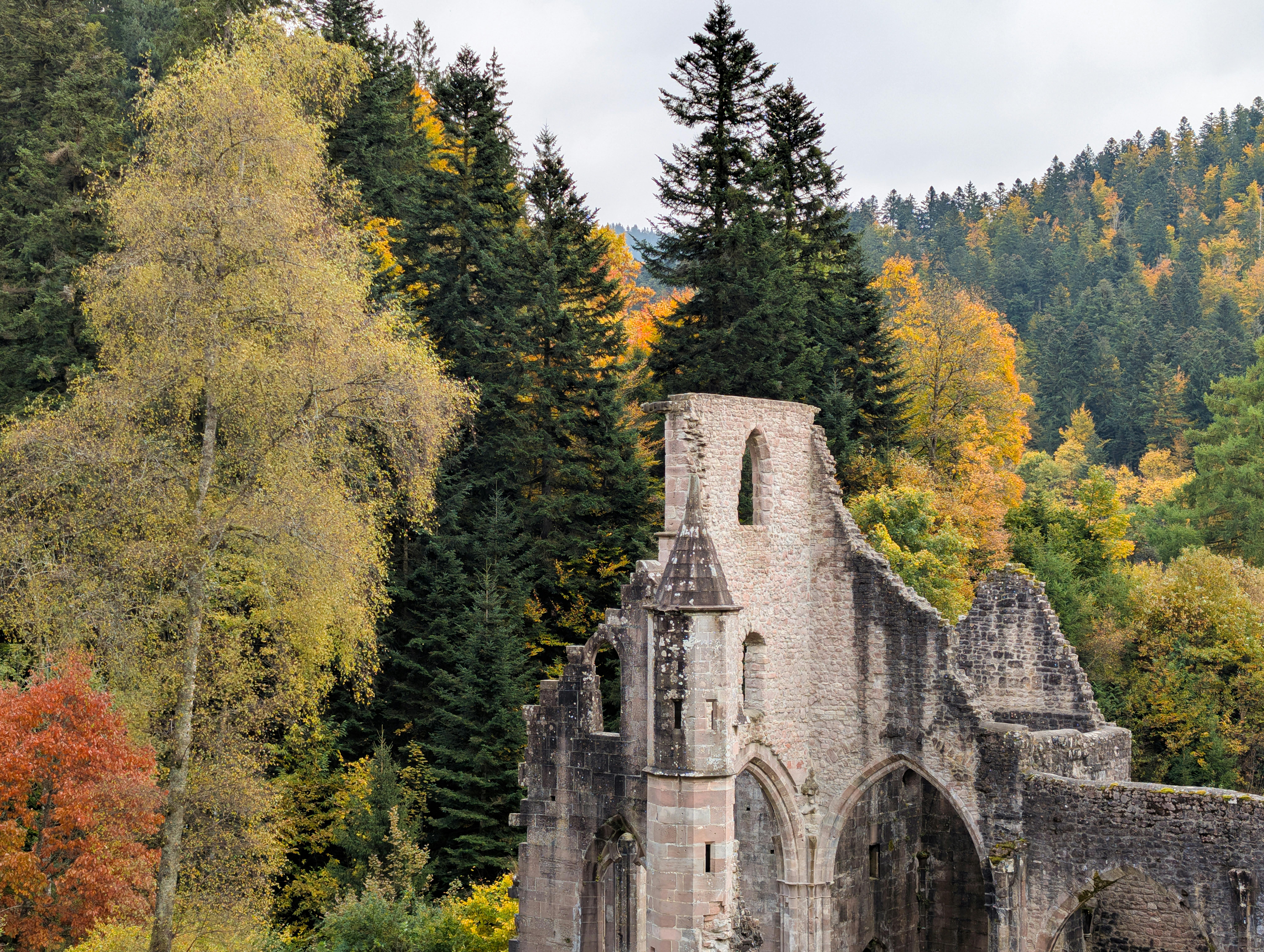 Unraveling the Secrets of Ancient Ruins and Mystery Code Breakers