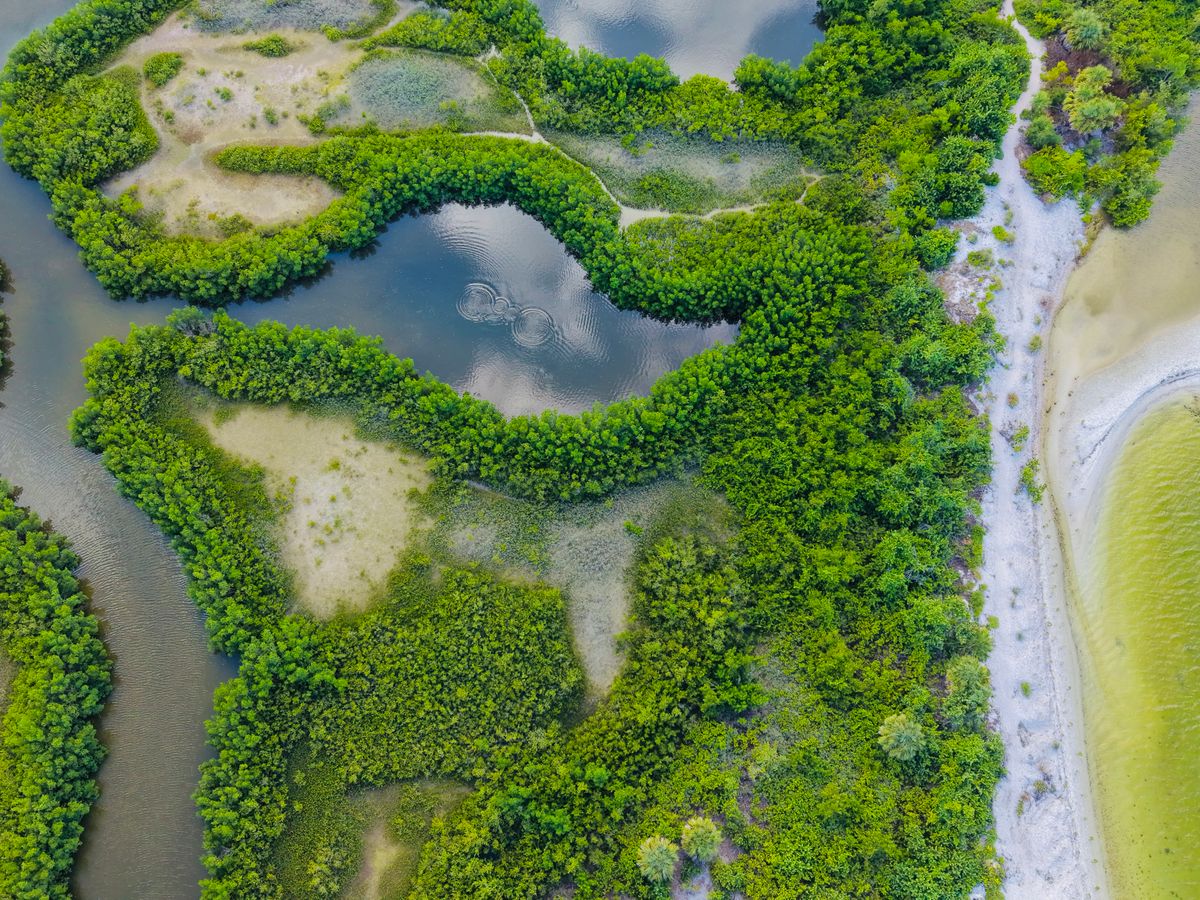 Nature Delivered Wellness Sanctuary 2