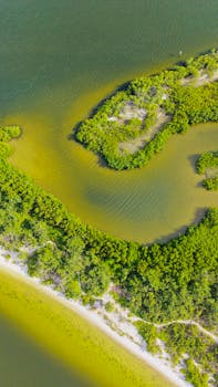 Stunning aerial view of green land formations and water at Apollo Beach, Florida.