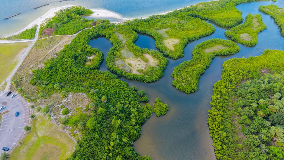 Explore the vibrant mangrove forests and waterways of Apollo Beach, Florida, from above.