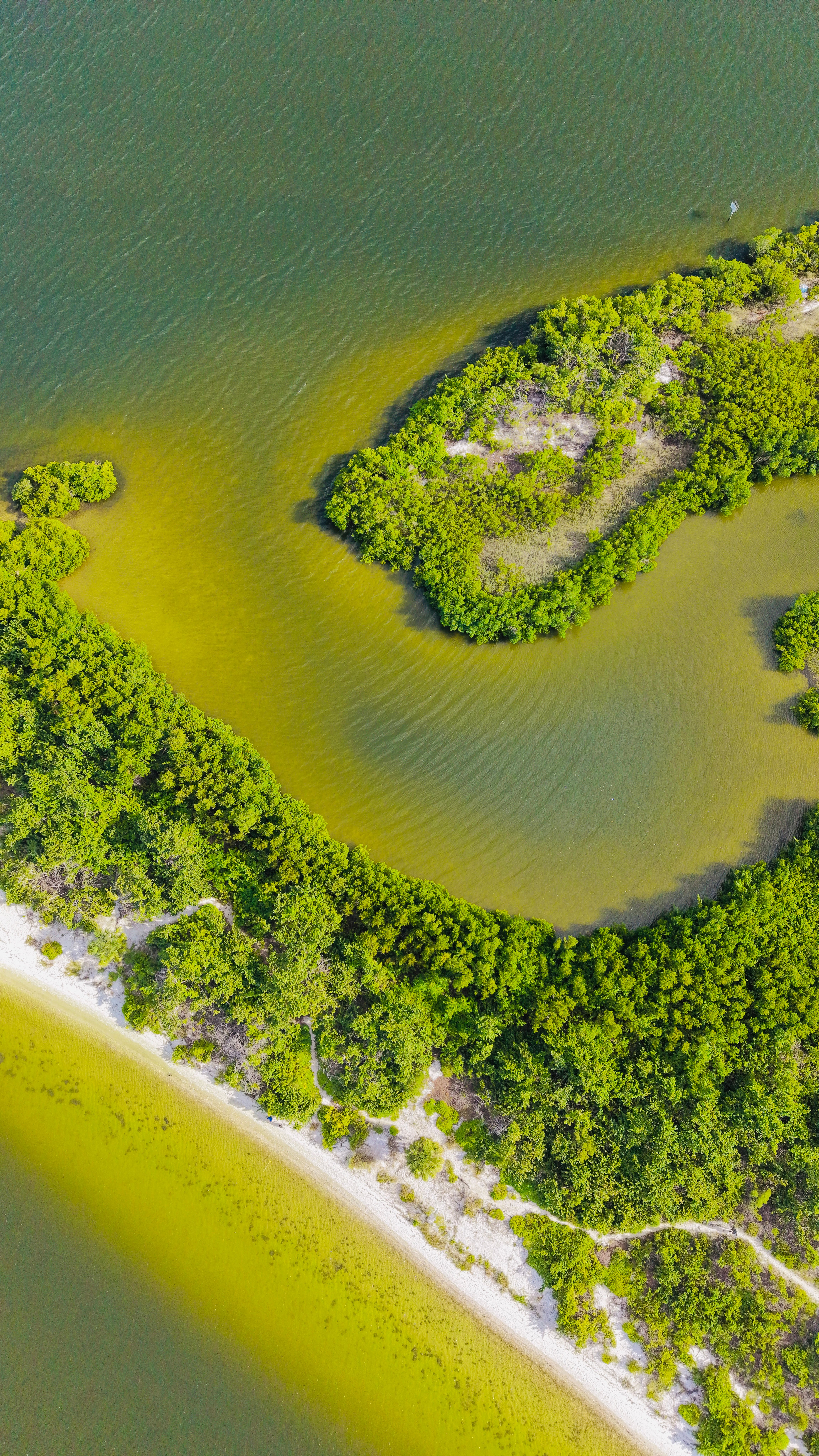 Aerial drone photo of a Florida beach and coastline