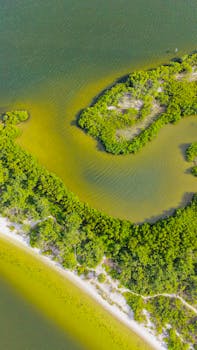 Stunning aerial shot of mangroves and coastline at Apollo Beach, Florida.