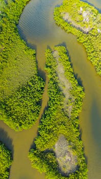 Stunning aerial view capturing lush greenery and winding water in Apollo Beach, Florida.