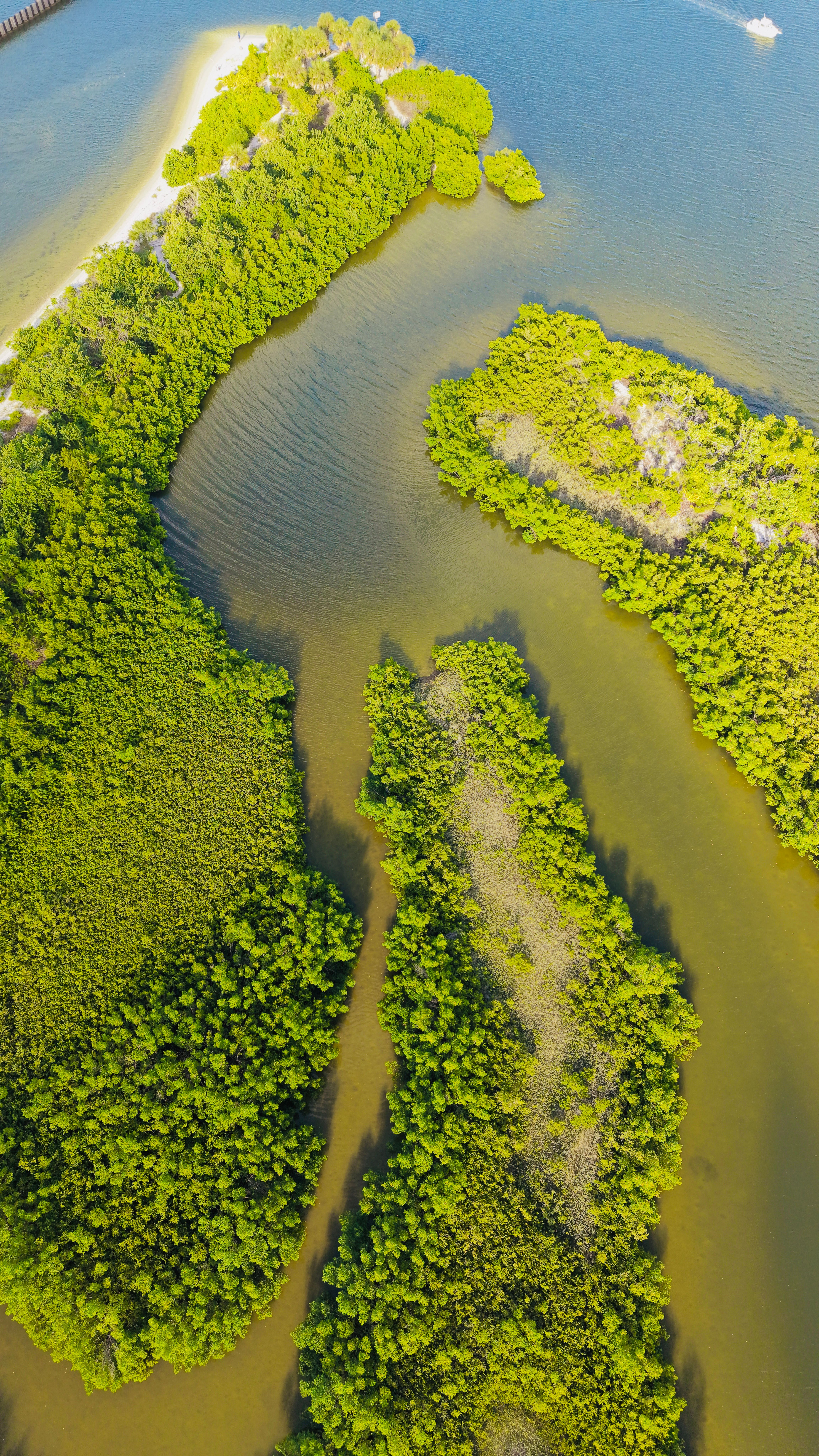 Aerial drone photo of a Florida beach and coastline