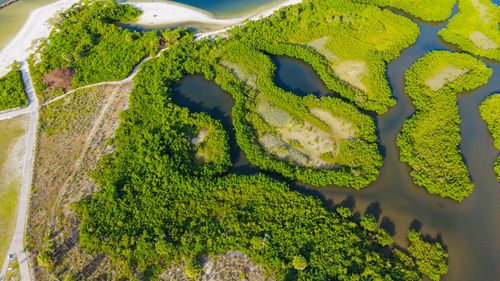 Free A stunning aerial view of lush green mangroves at Apollo Beach, Florida, USA. Stock Photo
