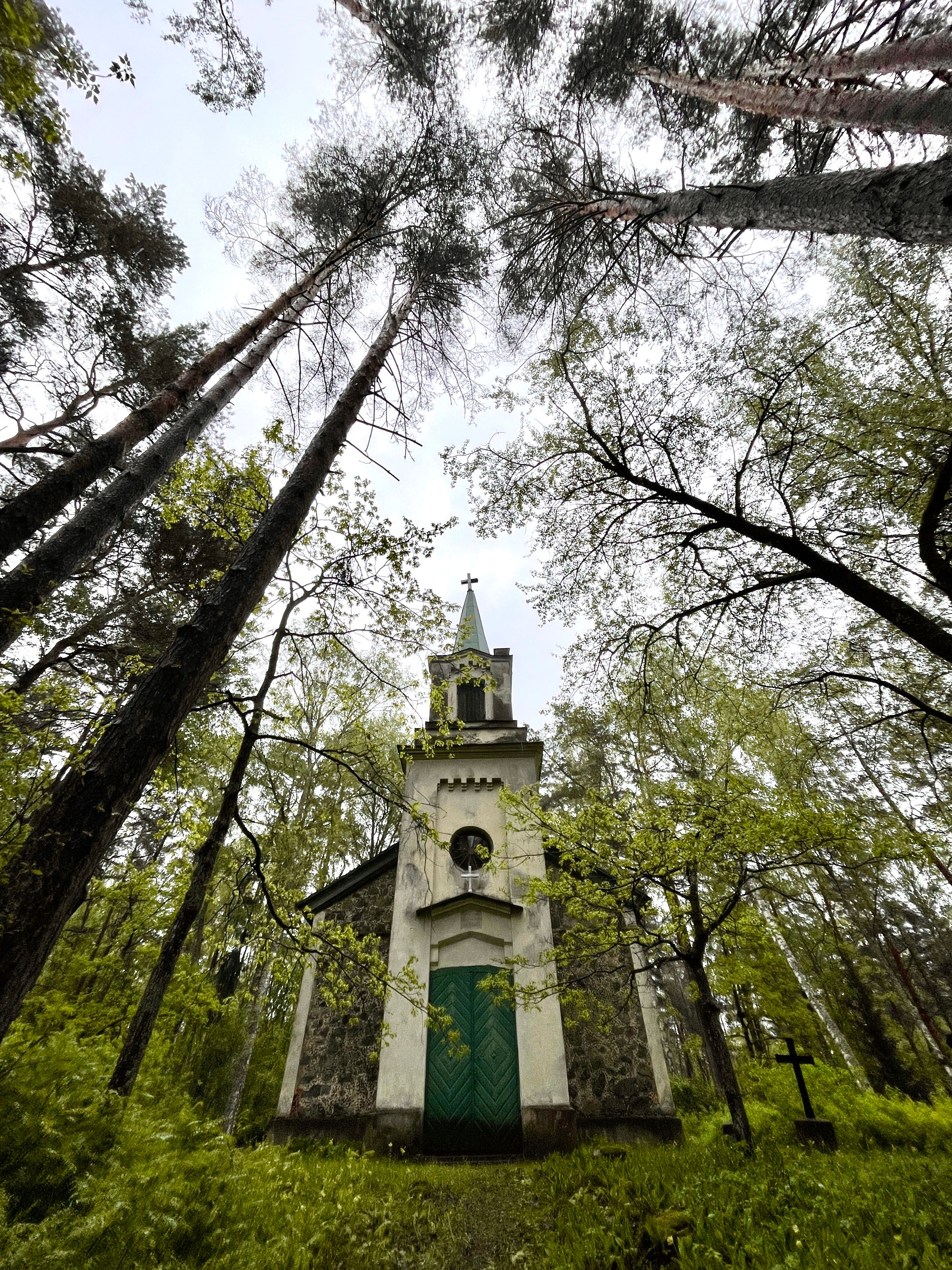 Charming Historic Church Amid Towering Forest · Free Stock Photo