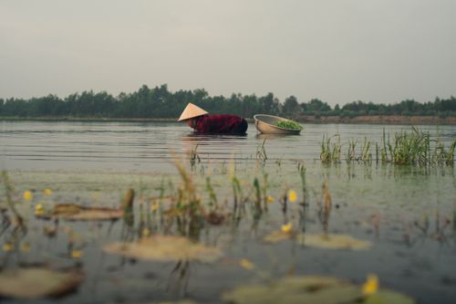 Free A serene image of a traditional fisherman working on a calm waterway, capturing rural life. Stock Photo