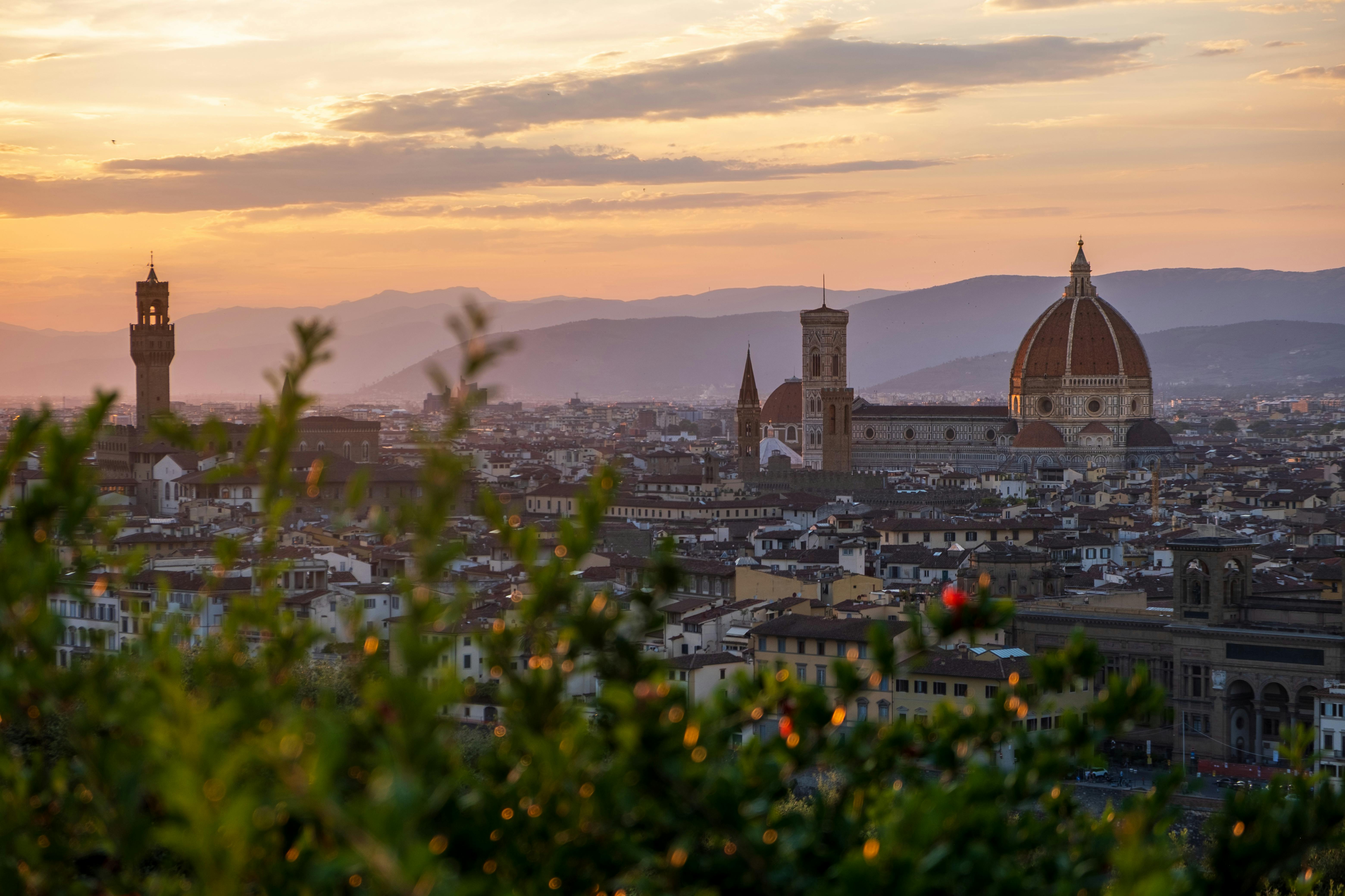 財經：Tanglewood首席投資官：現階段不建議做空黃金