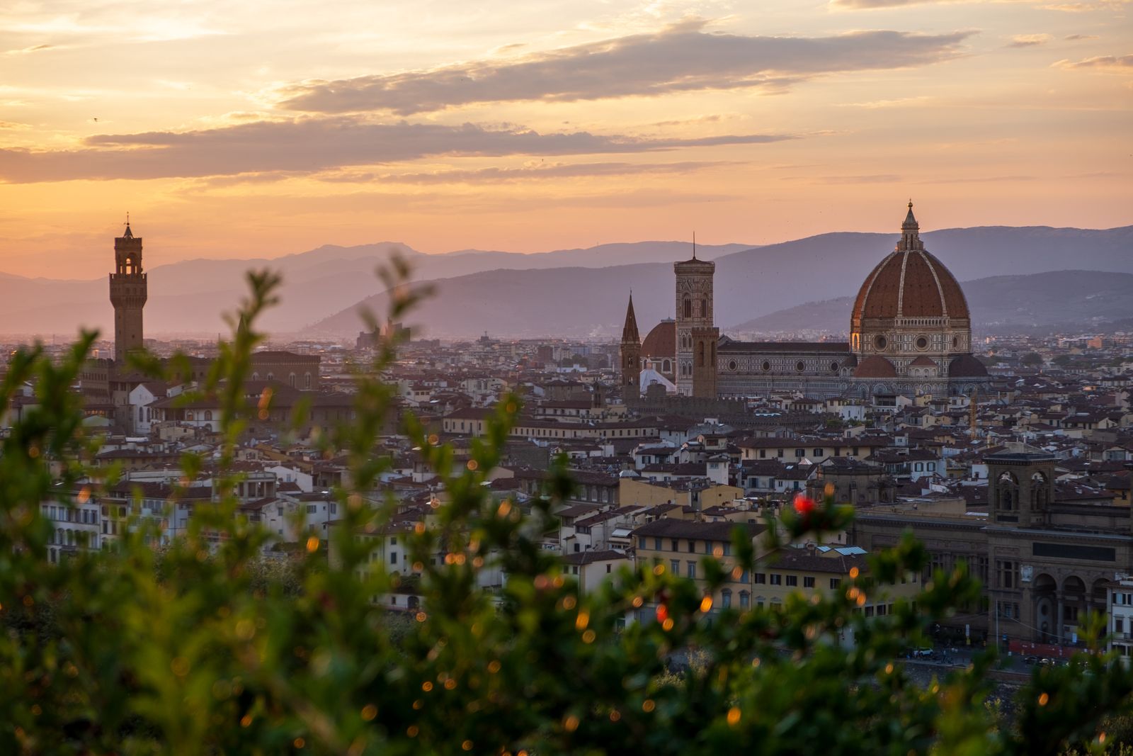 Florence travel guide
