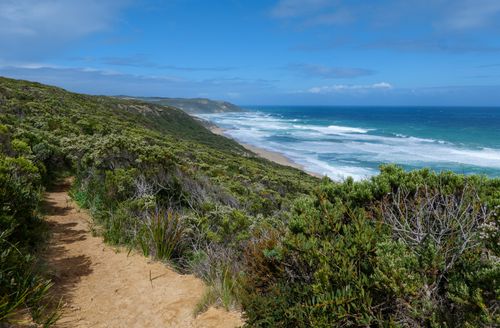 Free Explore the breathtaking coastal landscape of Victoria, Australia, with lush greenery and ocean views. Stock Photo
