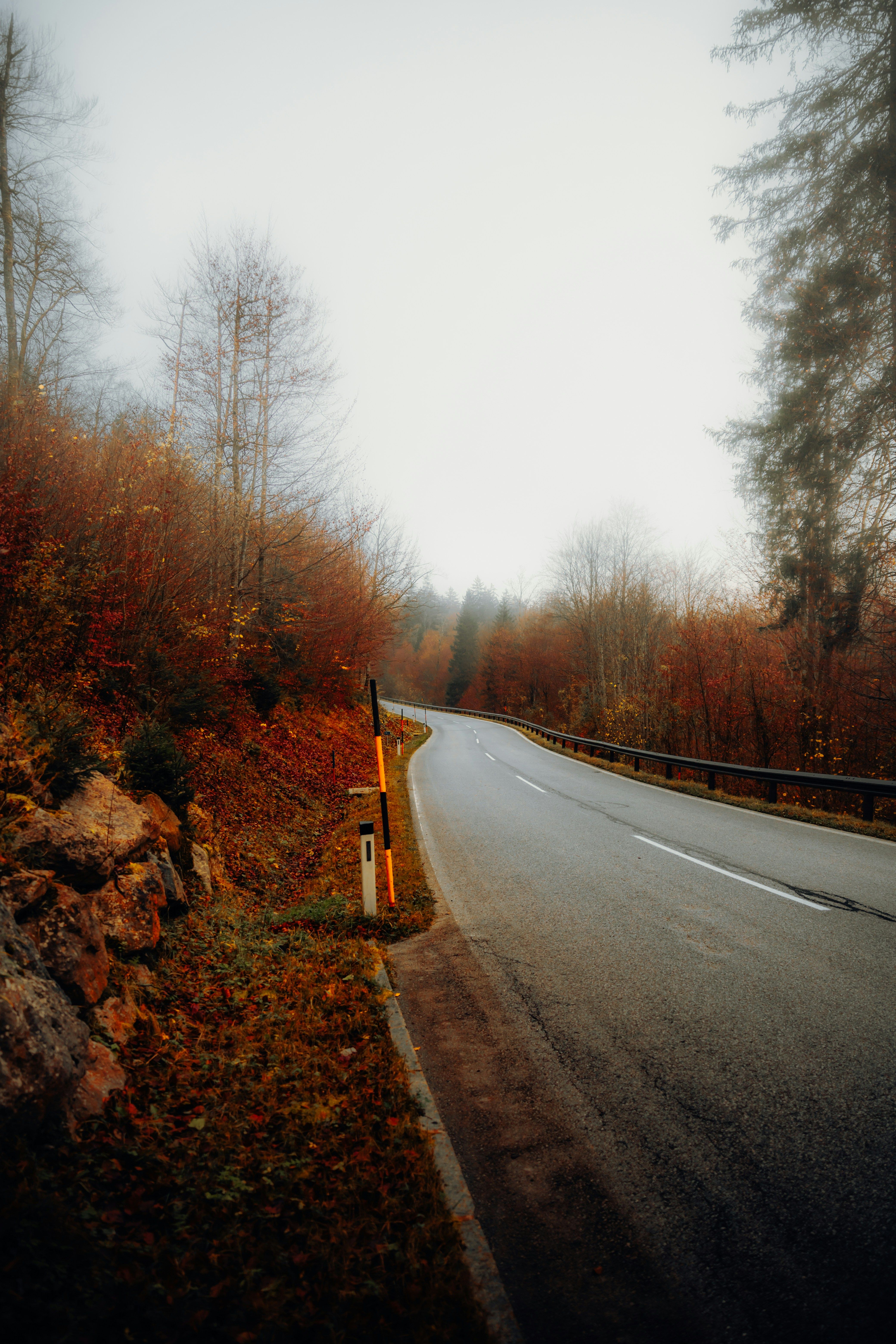 Scenic Autumn Road Through Misty Forest · Free Stock Photo
