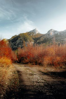 Explore a tranquil mountain path surrounded by vibrant fall foliage in Austria.
