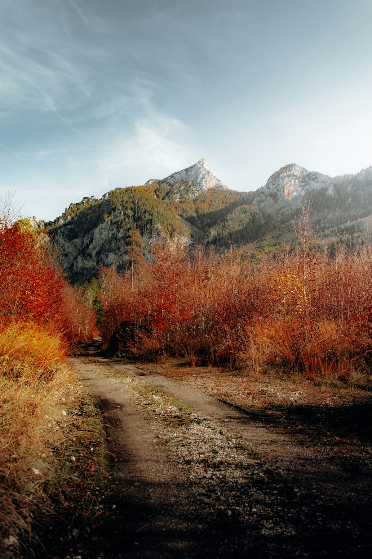A tranquil mountain path surrounded by vibrant autumn-colored trees