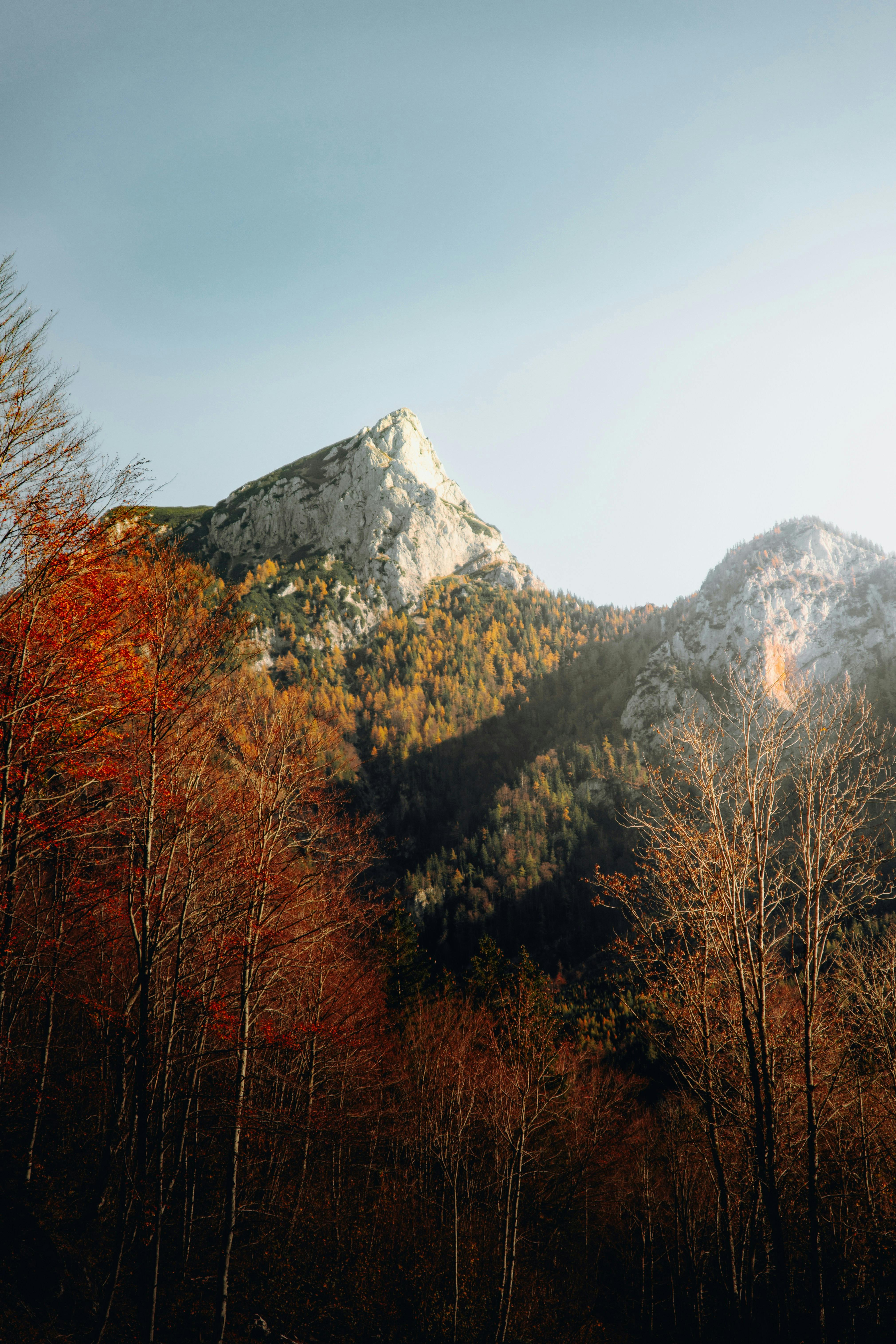 Breathtaking view of alpine mountains with autumn foliage in Austria.