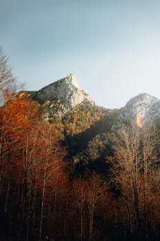 Breathtaking view of alpine mountains with autumn foliage in Austria.