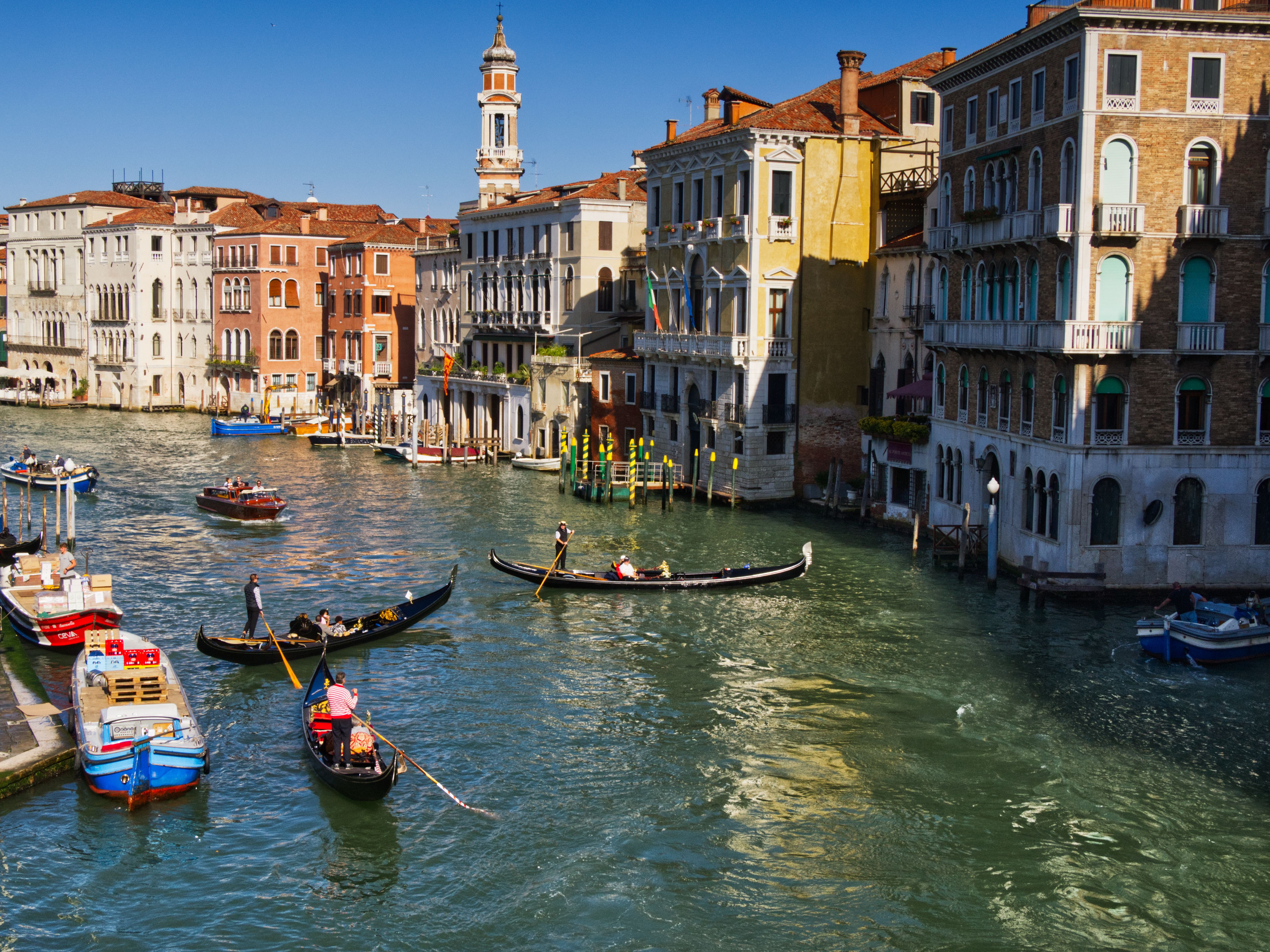 Scenic View of Venice's Grand Canal with Gondolas · Free Stock Photo