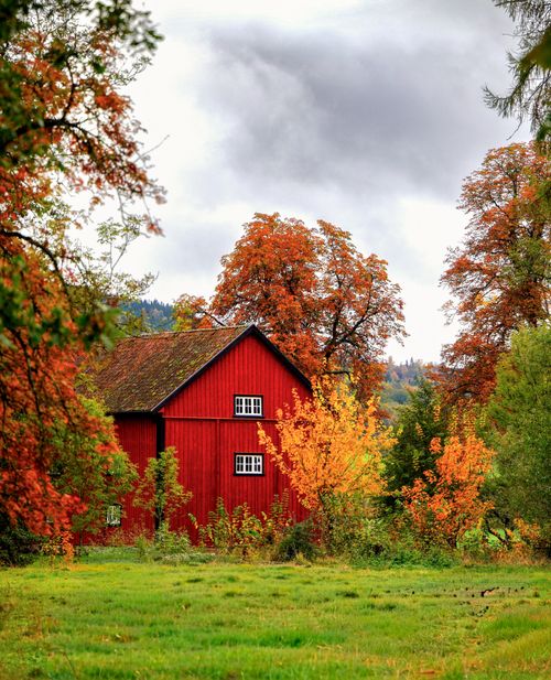 Free A picturesque red barn surrounded by colorful autumn foliage in a serene countryside setting. Stock Photo