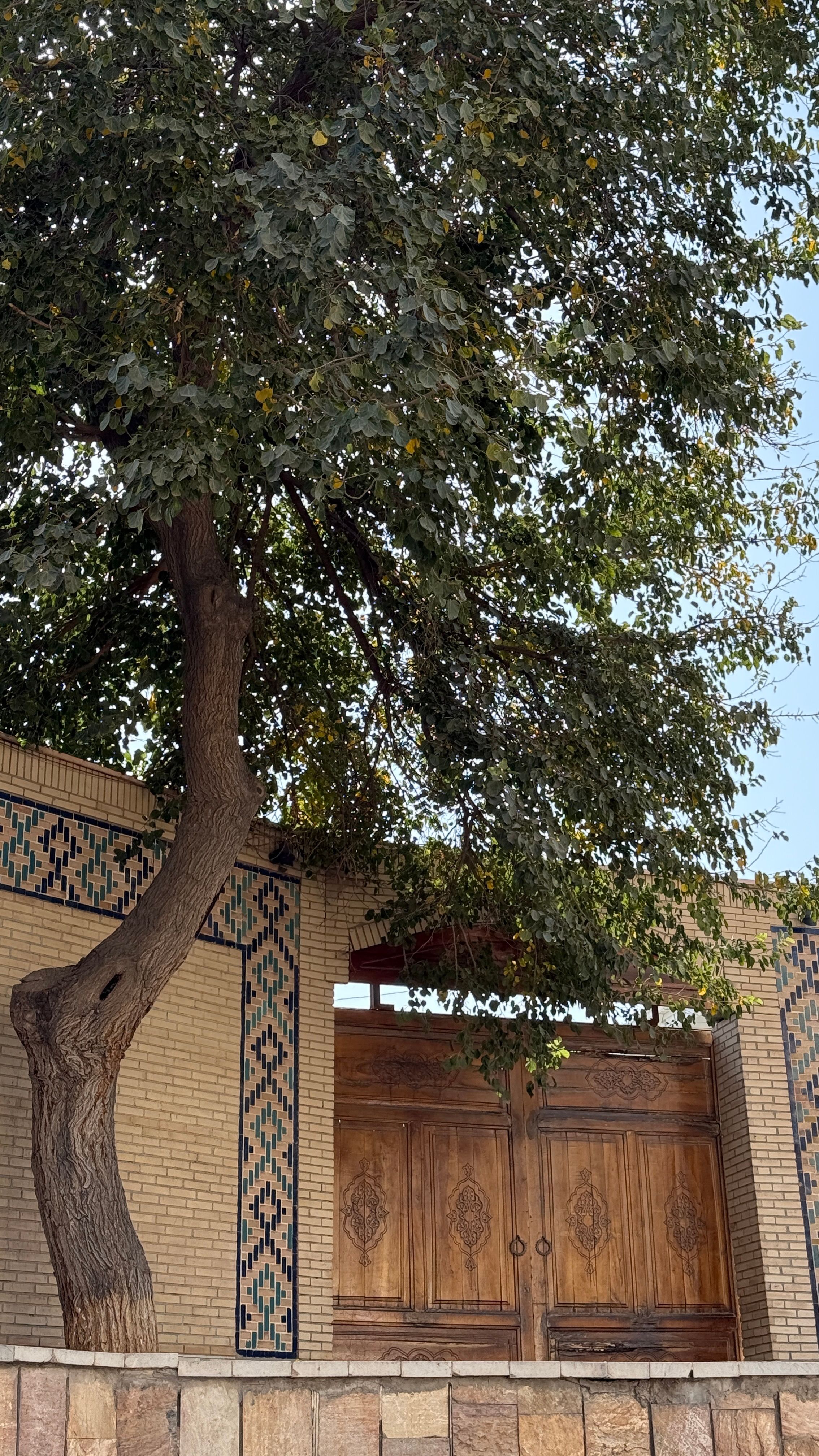 A beautiful wooden gate framed by a tree and brick wall, showcasing intricate patterns.