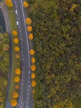Aerial photo of a winding road beside an autumn forest in Jönköping, Sweden.