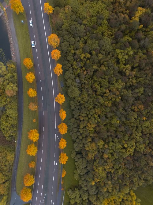 Free Aerial photo of a winding road beside an autumn forest in Jönköping, Sweden. Stock Photo