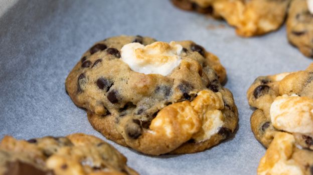 Marshmallow With Rice Cereal And Chocolate Chips Cookie