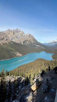 Aerial view of the iconic Peyto Lake surrounded by majestic mountains in Banff National Park.