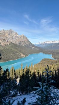 Discover the stunning beauty of Peyto Lake with its vibrant turquoise waters surrounded by snow-capped mountains.