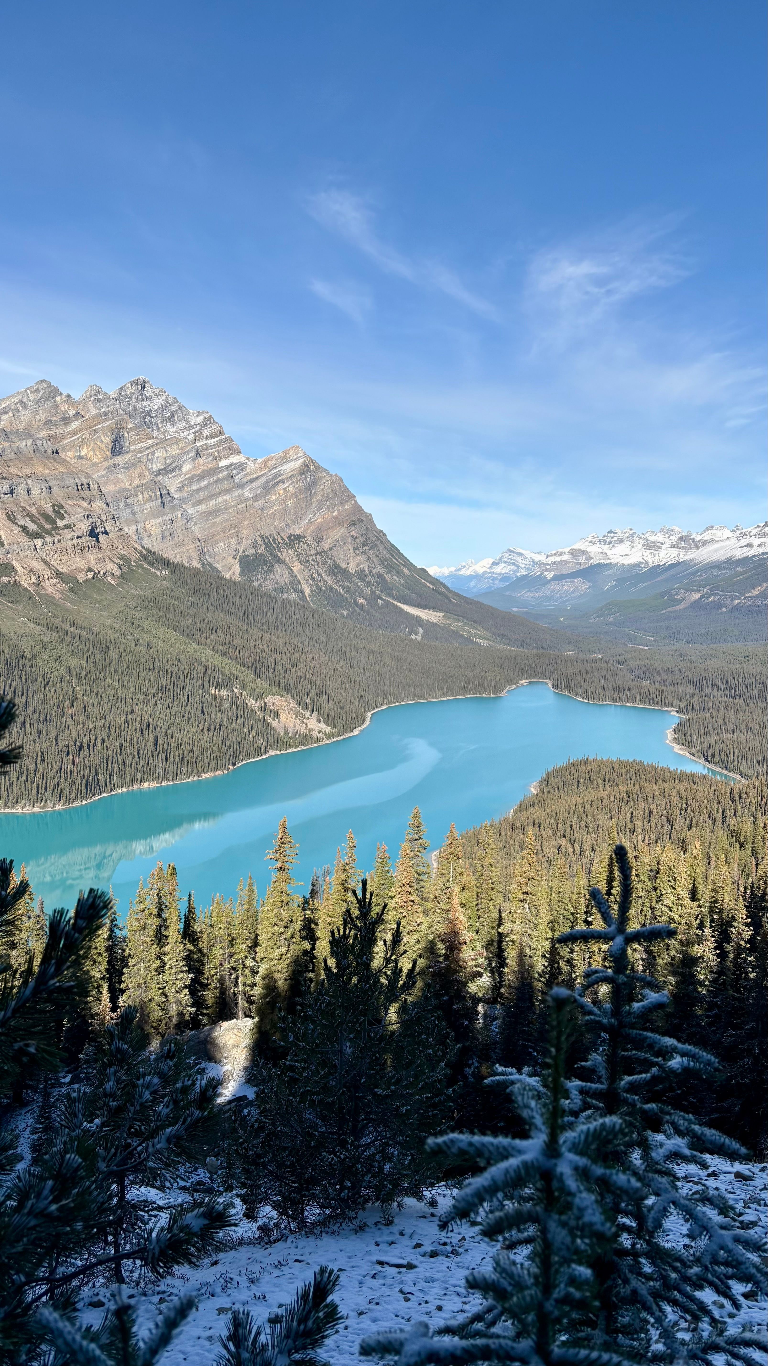 Breathtaking View of Peyto Lake in Banff National Park · Free Stock Photo
