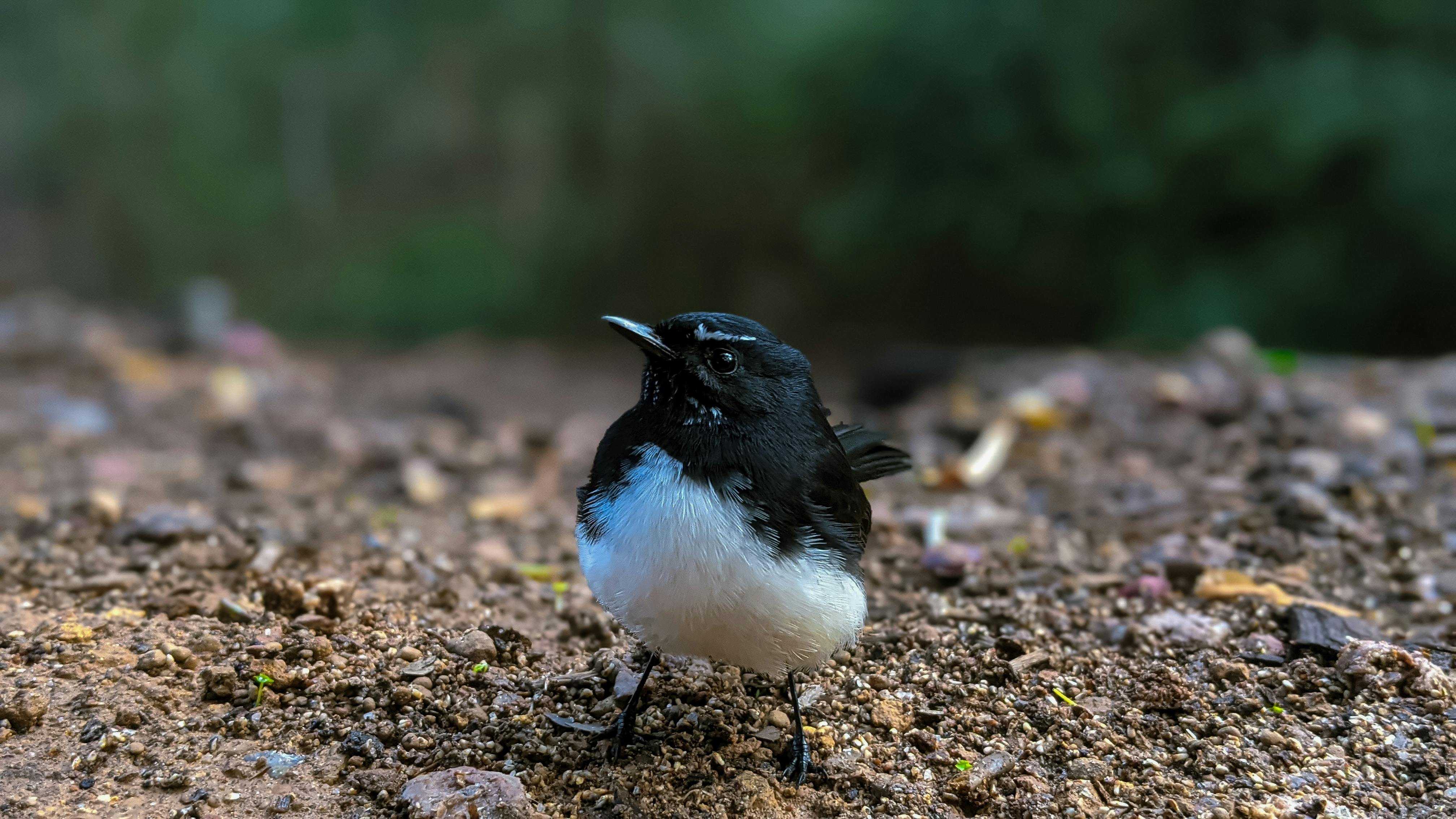 環境部成立環境資訊科技司 以科技創新推動環境管理