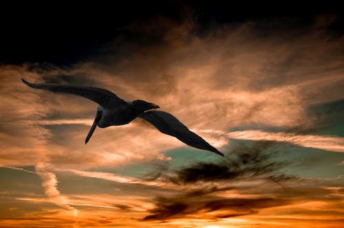 オレンジと緑の曇り空の下を飛んでいるクレーンローアングル写真