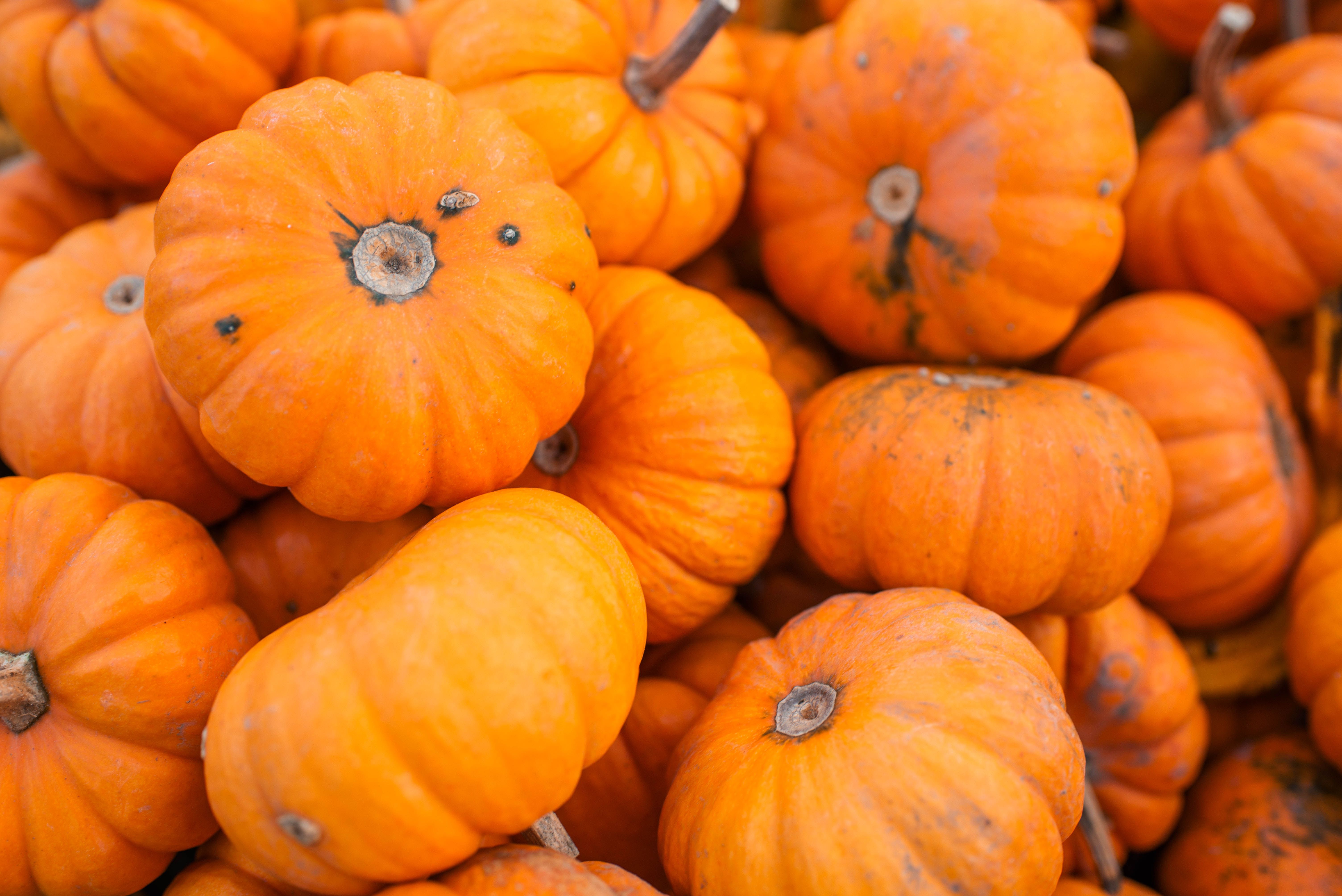 Recettes Halloween créatives et originales