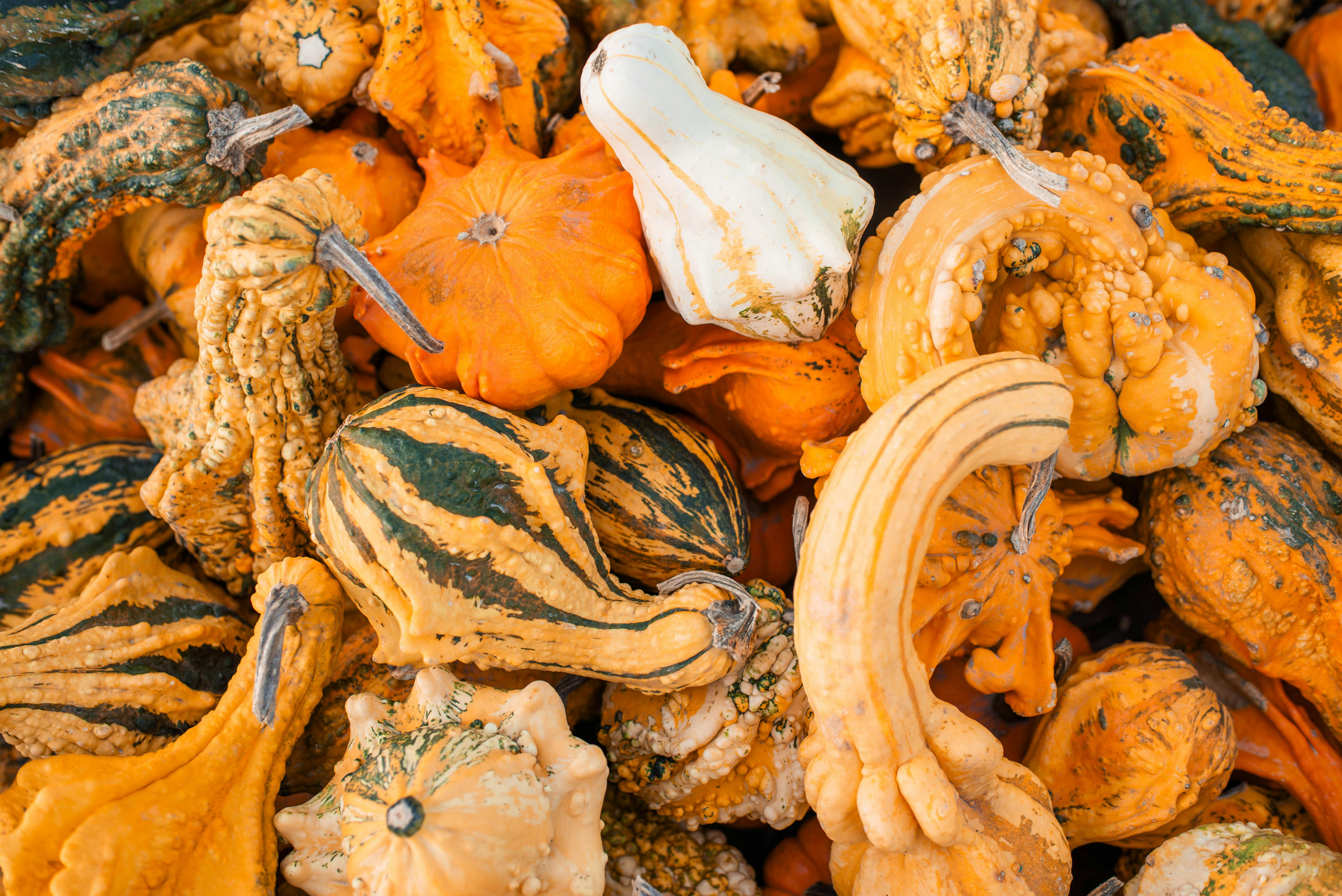 Secret Vegetable Hacks for Unstoppable Yield