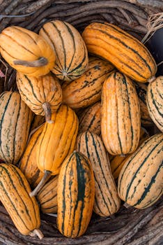 A collection of delicata squash nestled in a rustic woven basket showcasing their distinct yellow and green striations.