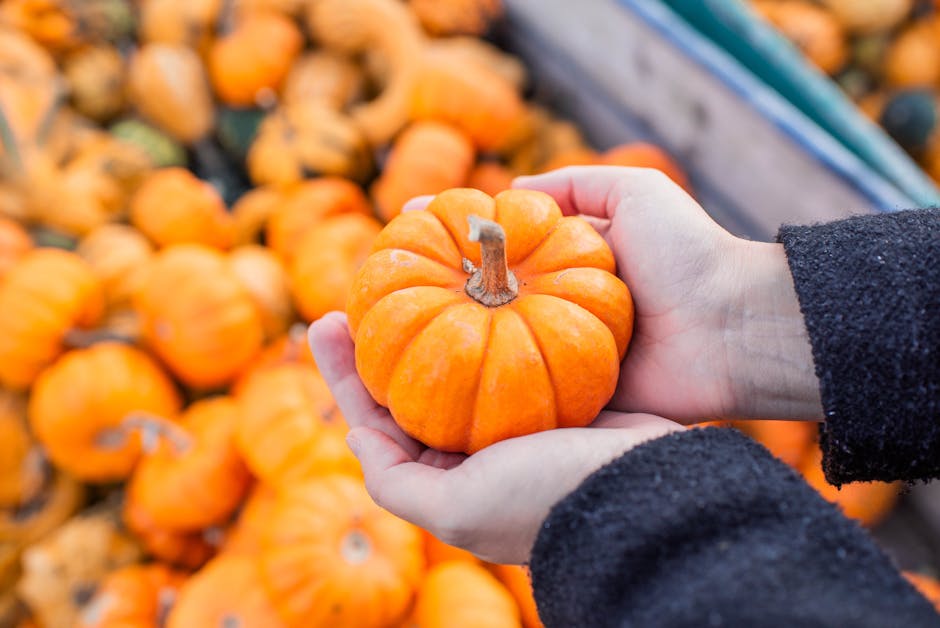 My 'Cute & Delicious' Quest: Discovering Yokohama Takashimaya's Halloween Gourmet for the Perfect Home Party!