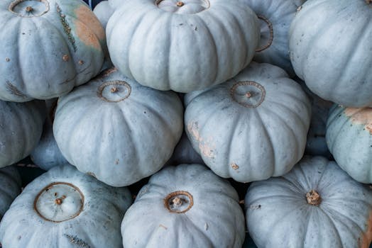 Close-up of blue hubbard squash with rough texture, ideal for autumn recipes.