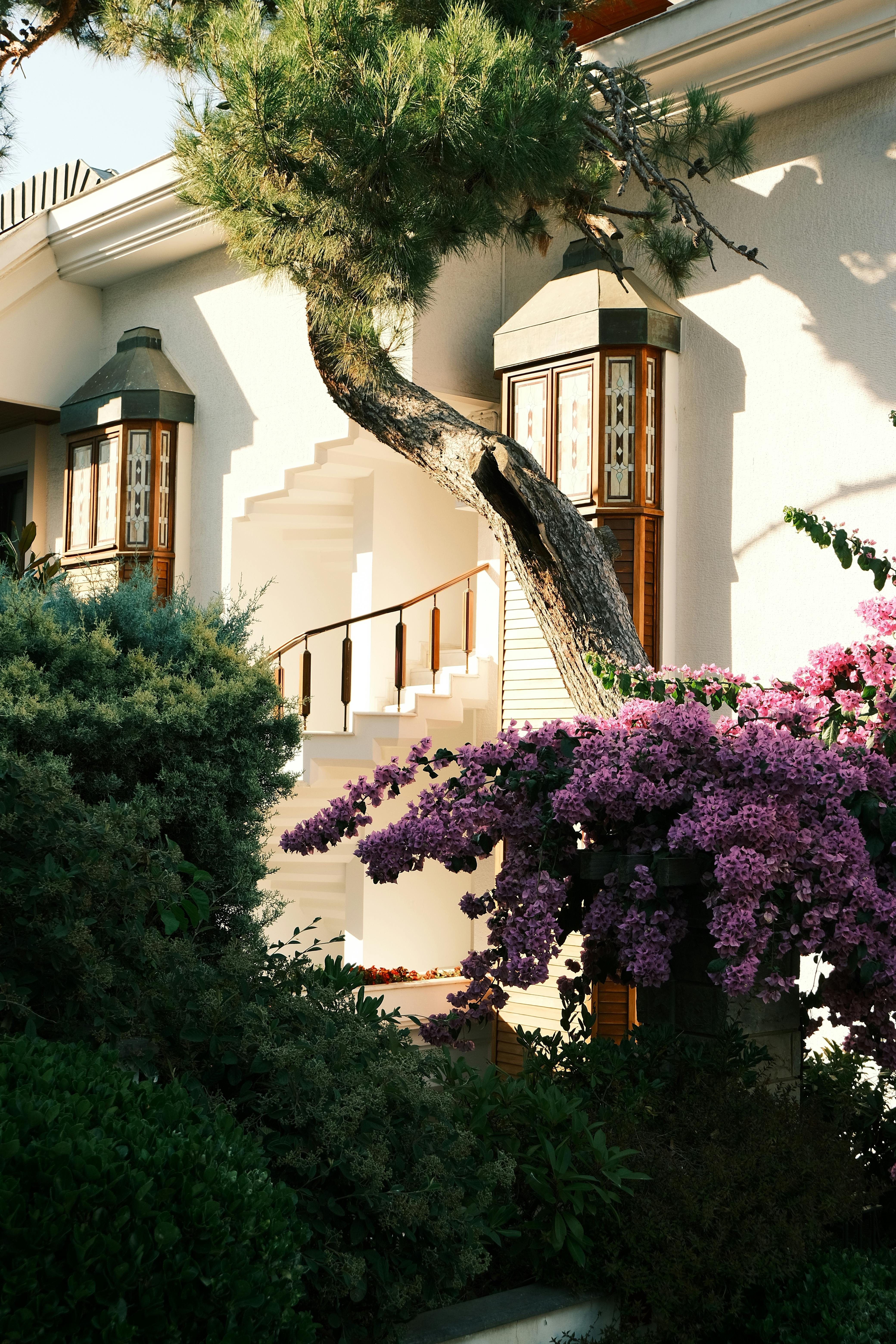 A serene garden scene featuring vibrant bougainvillea and traditional Turkish architecture in Istanbul.