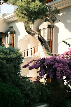 A serene garden scene featuring vibrant bougainvillea and traditional Turkish architecture in Istanbul.