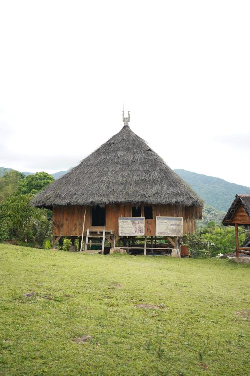 Free A traditional wooden hut with thatched roof in East Nusa Tenggara, Indonesia surrounded by lush greenery. Stock Photo