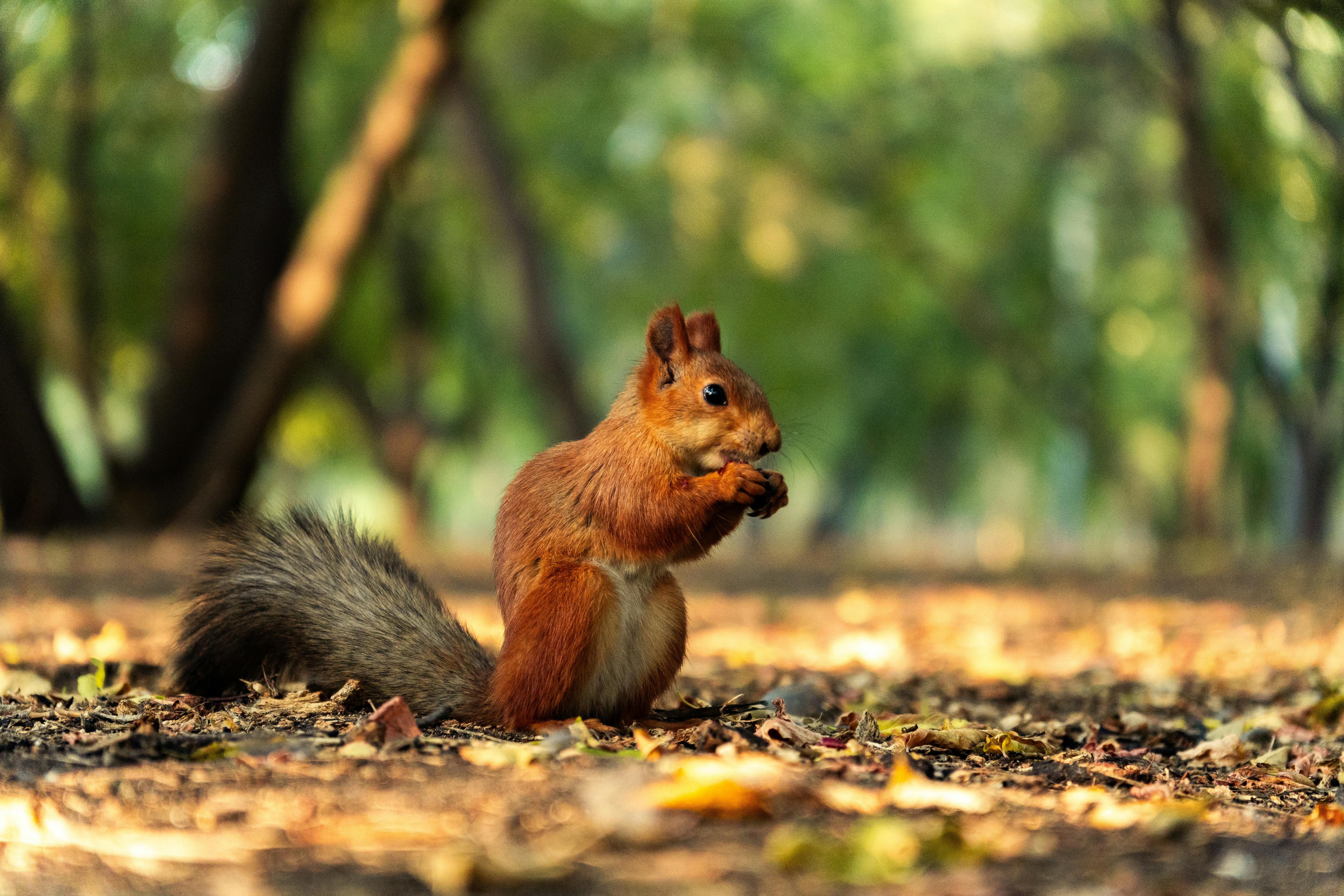光林智能運用AI照明打造科技與生態共榮新模式