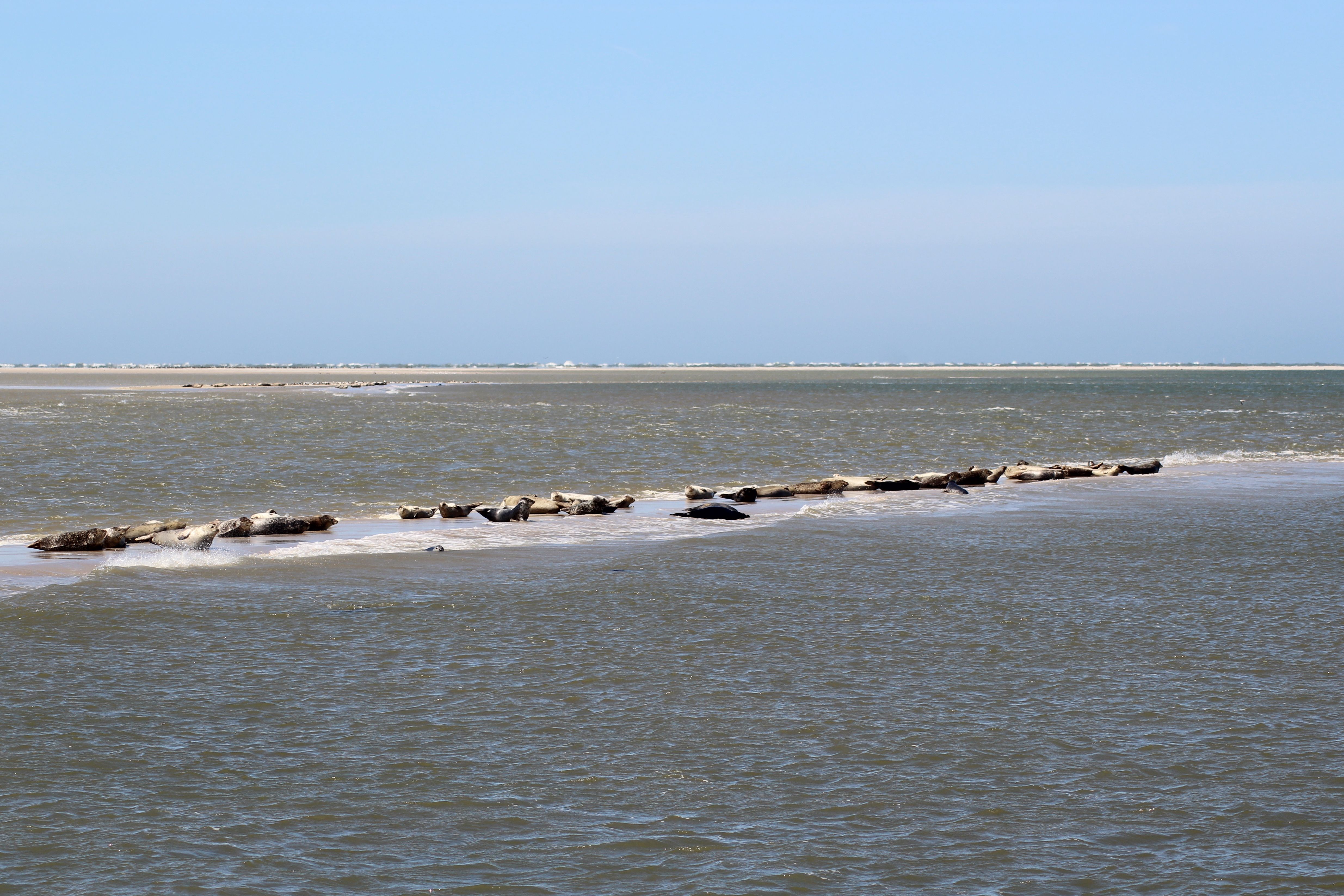 Terschelling ontdekken: een complete reisgids voor het Waddeneiland