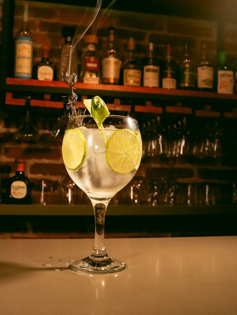 affordable gin in gastronomy and entertainment
