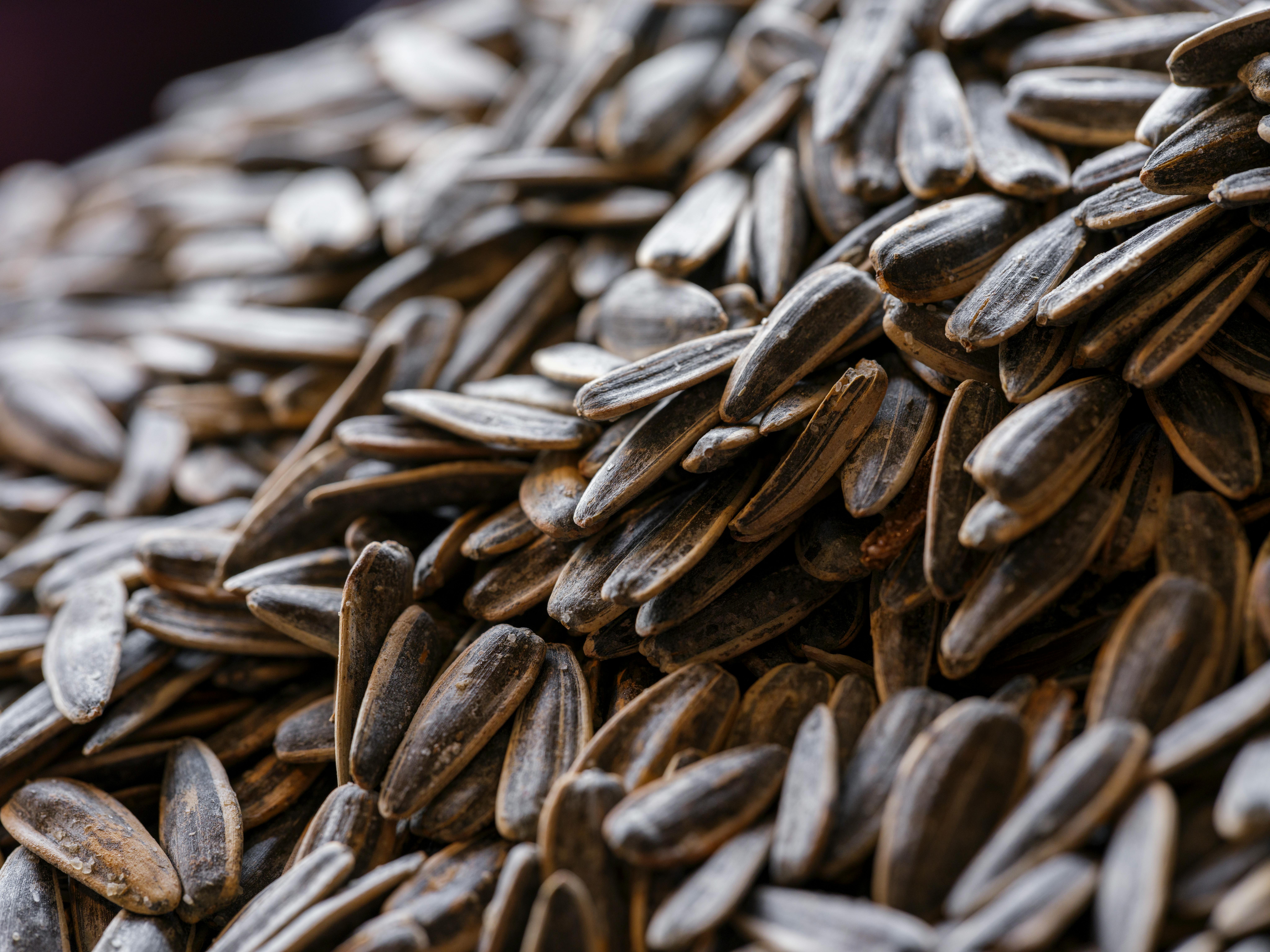 Fresh Food Selection