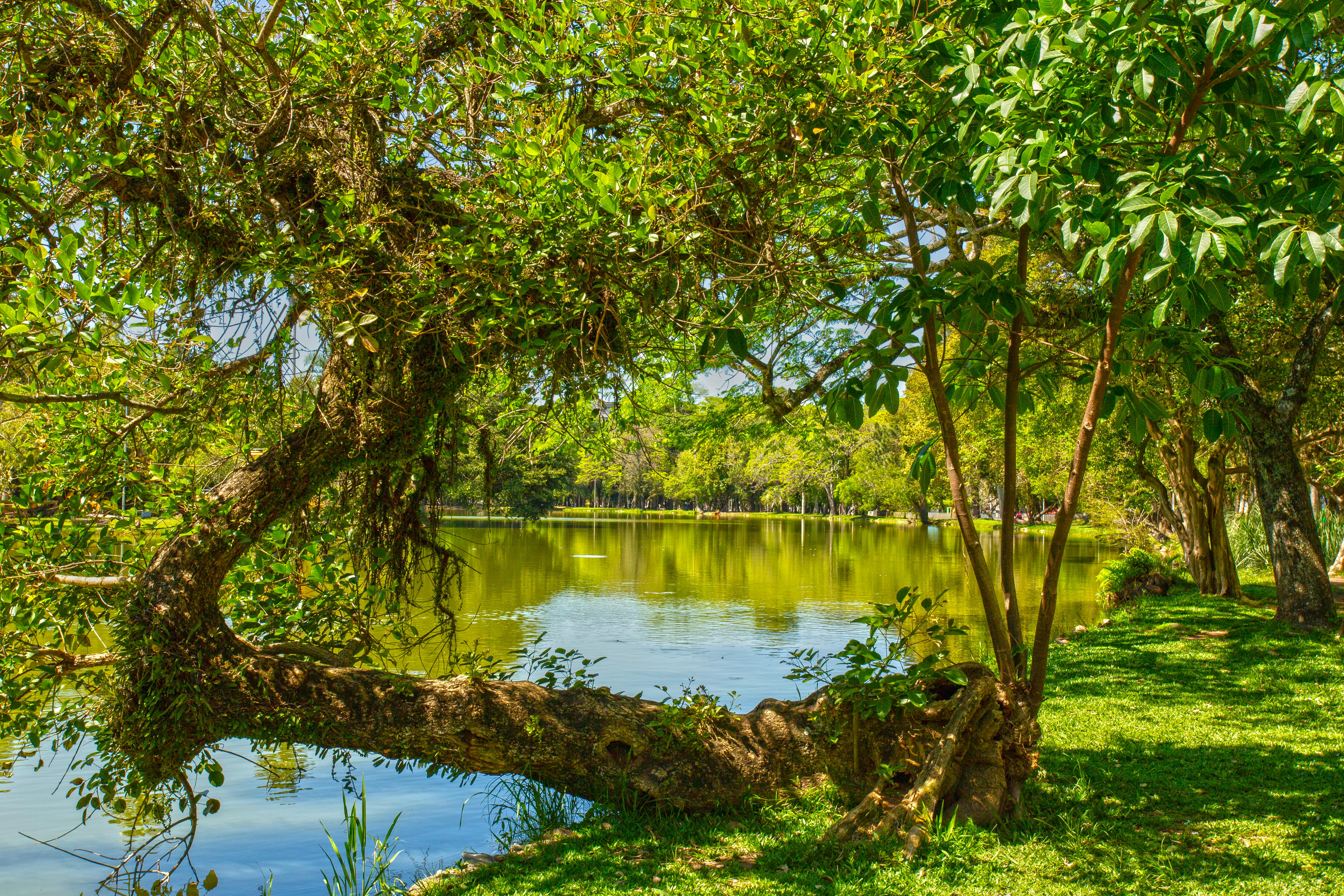 Rio Grande Nature Center in Albuquerque, New Mexico