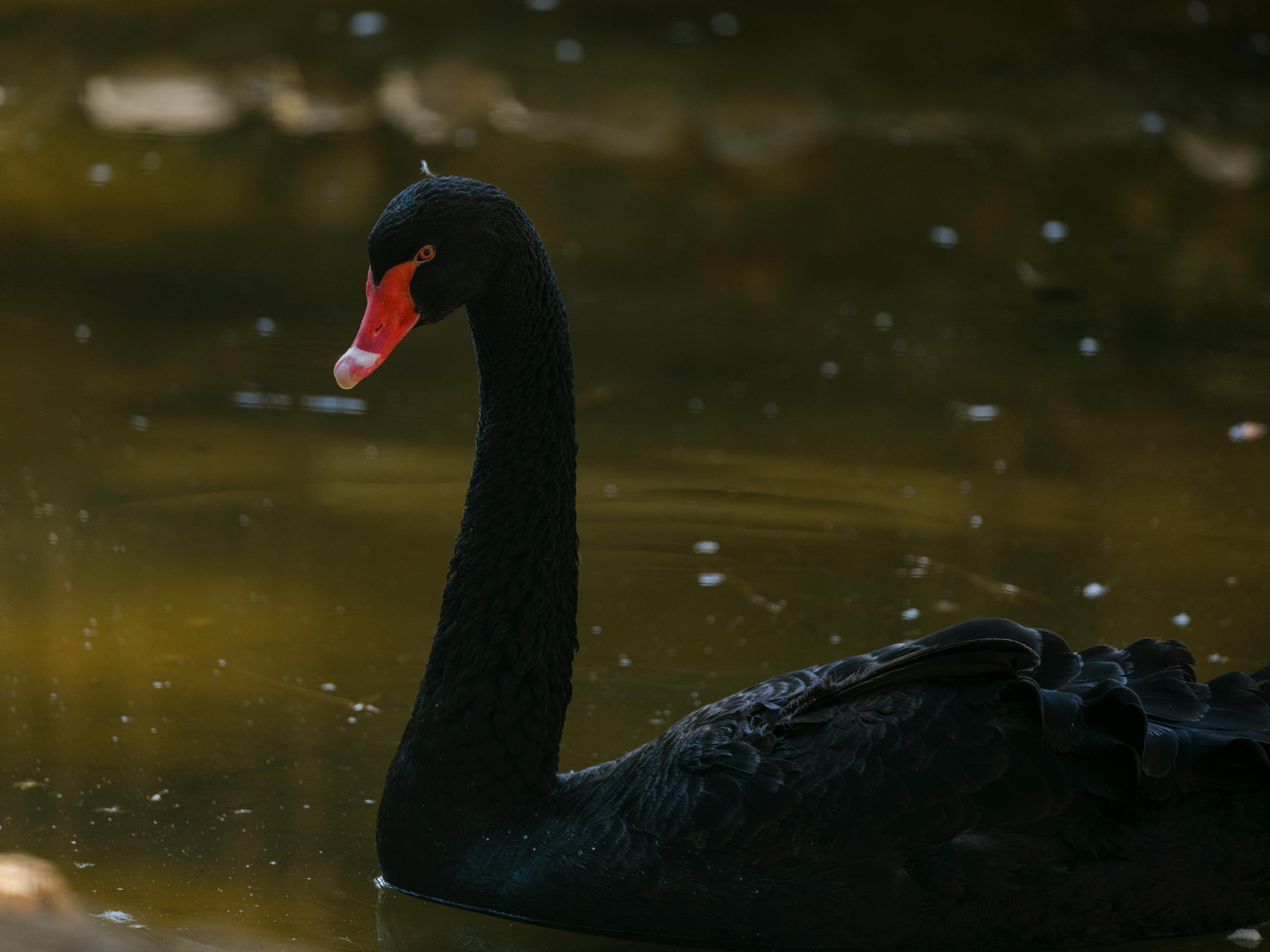 Conceptual image representing fighting friend