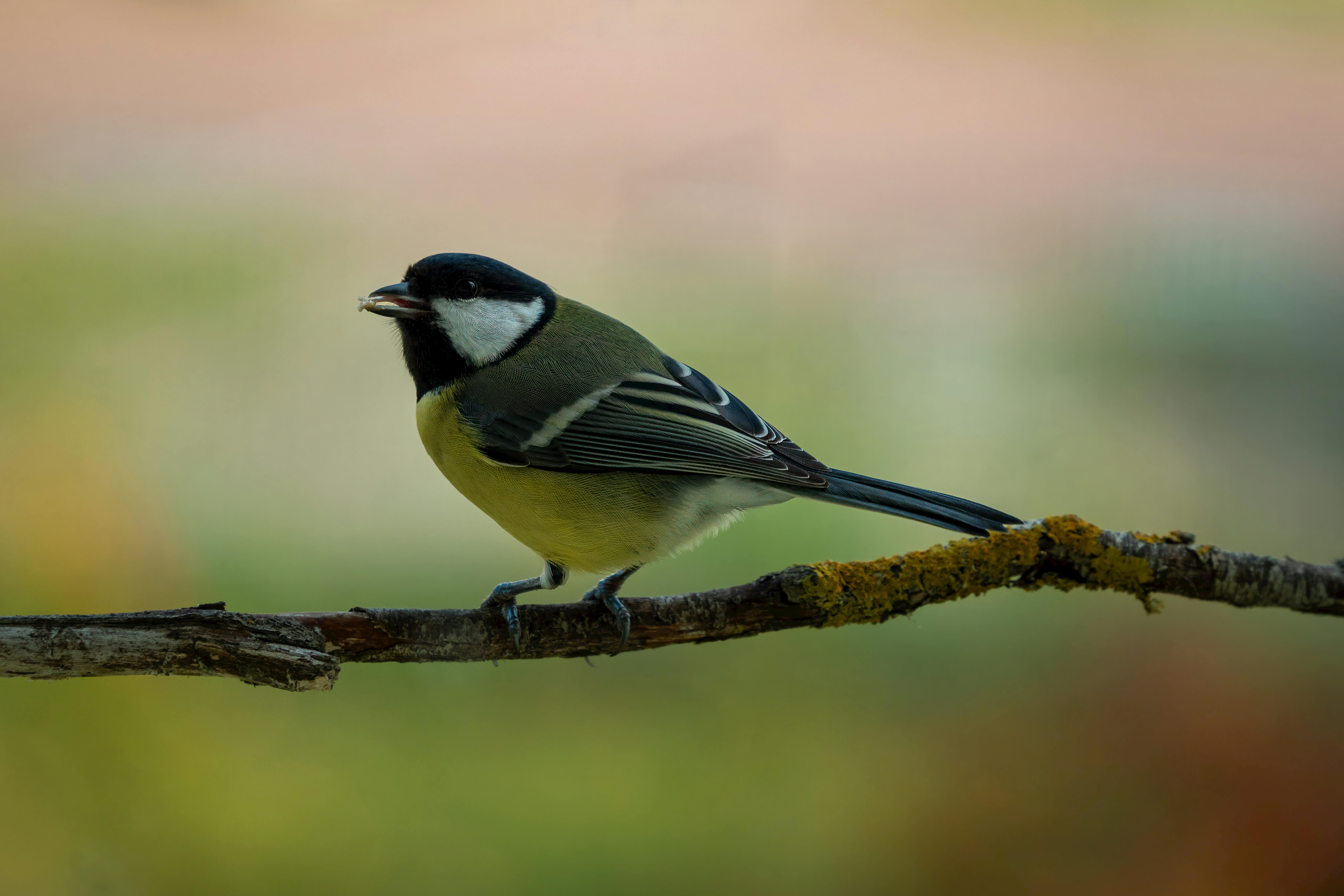 Conceptual image representing fighting friend