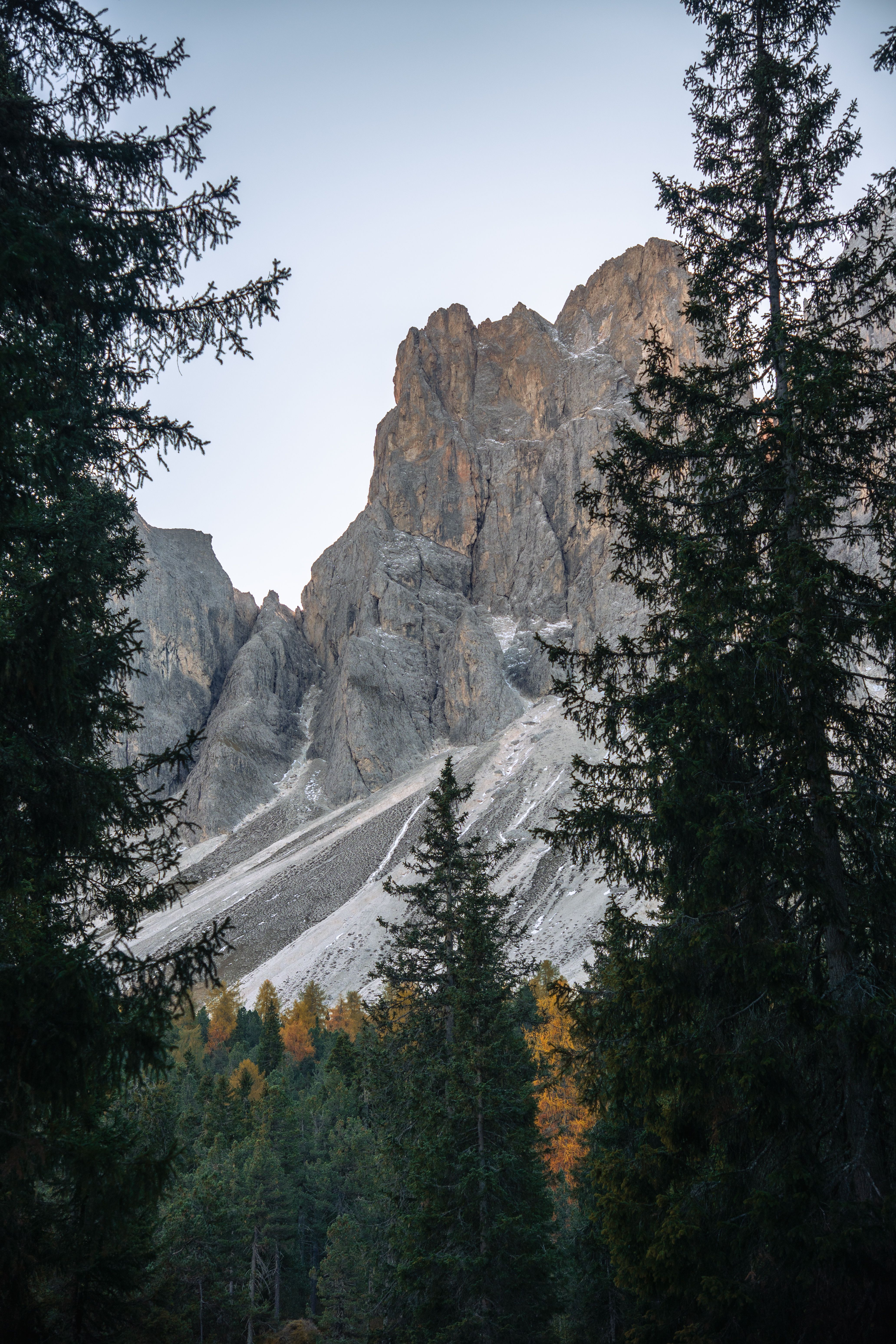 A stunning view of the Dolomites framed by trees at dawn, capturing the majestic peaks and serene forest.
